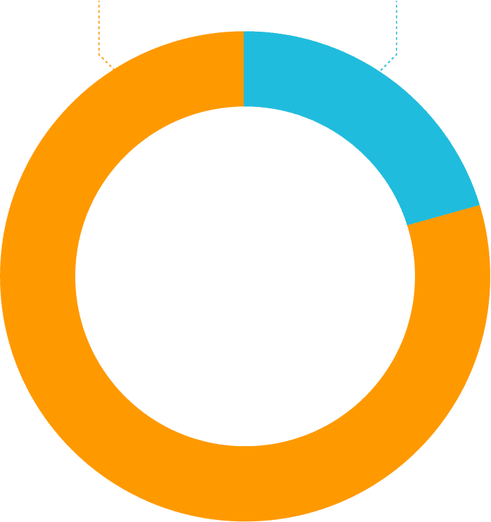 Donut Chart